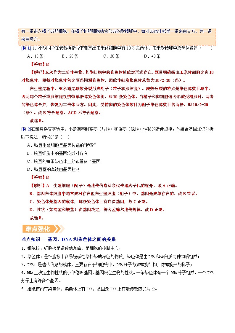 6.2.2 基因在亲子代间的传递（提升讲义）生物新教材人教版八年级下册（解析版）第3页