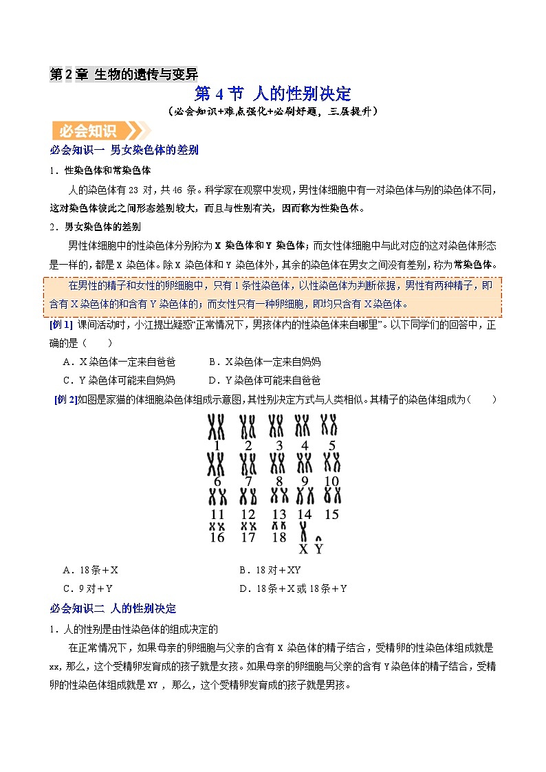 6.2.4 人的性别决定（提升讲义）生物新教材人教版八年级下册（原卷版）第1页