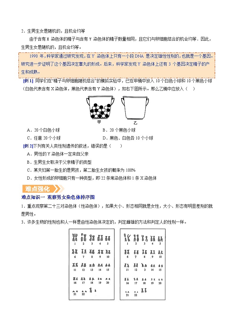 6.2.4 人的性别决定（提升讲义）生物新教材人教版八年级下册（原卷版）第2页