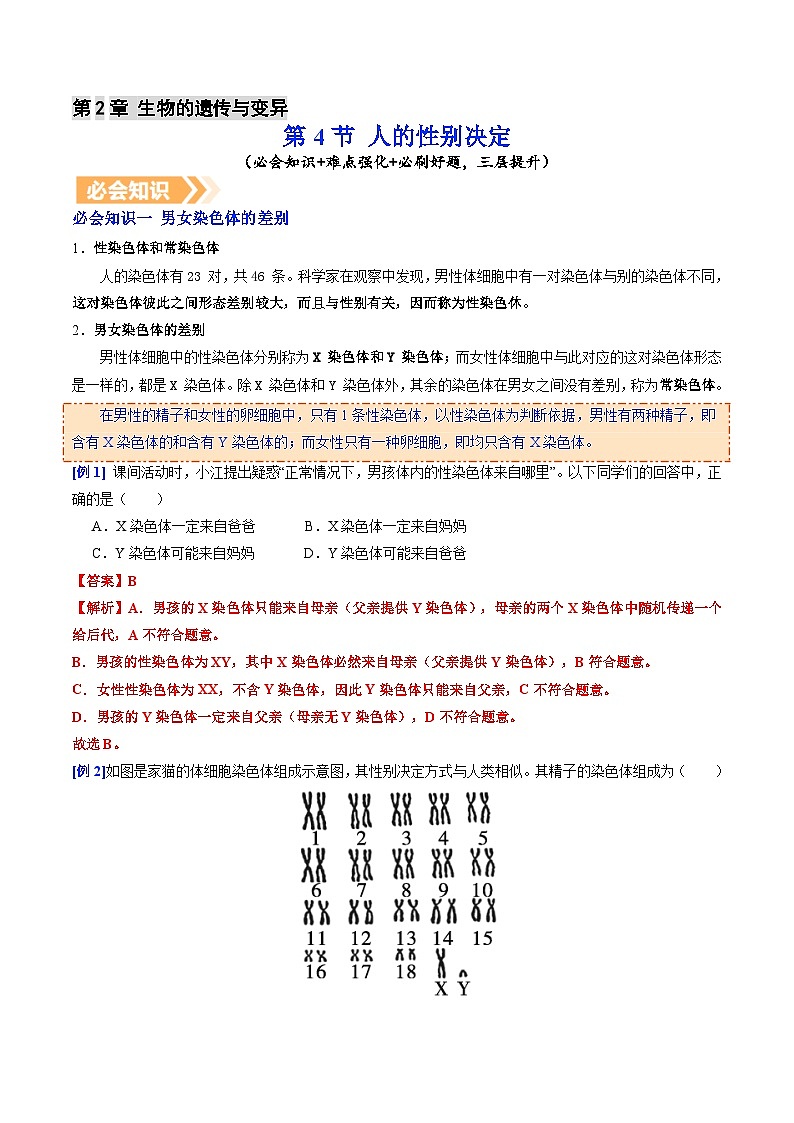 6.2.4 人的性别决定（提升讲义）生物新教材人教版八年级下册（解析版）第1页
