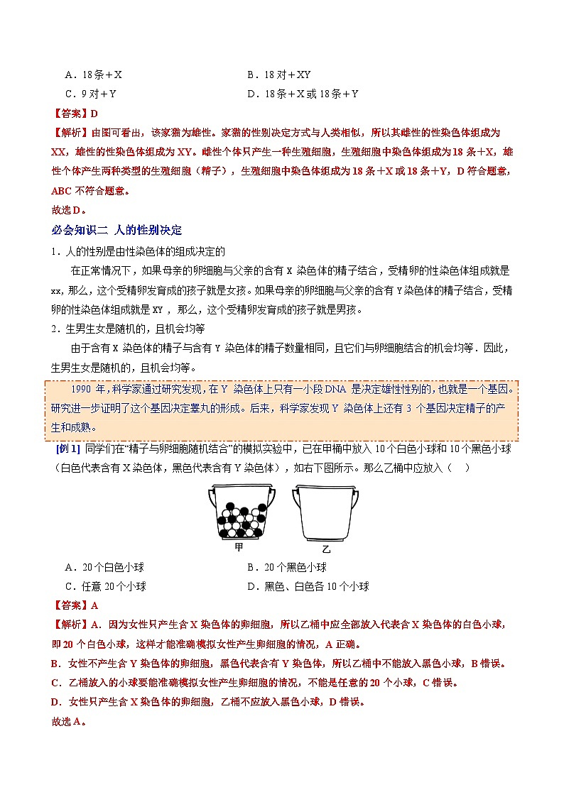 6.2.4 人的性别决定（提升讲义）生物新教材人教版八年级下册（解析版）第2页