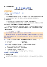 生物八年级下册（2024）第六单元 生命的延续和发展第三章 生物的进化第二节 生物进化的历程导学案及答案