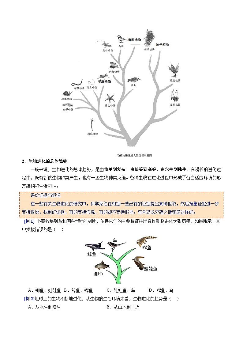 6.3.2 生物进化的历程（提升讲义）生物新教材人教版八年级下册（原卷版）第2页