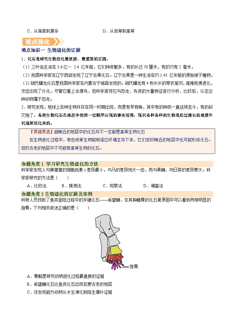 6.3.2 生物进化的历程（提升讲义）生物新教材人教版八年级下册（原卷版）第3页