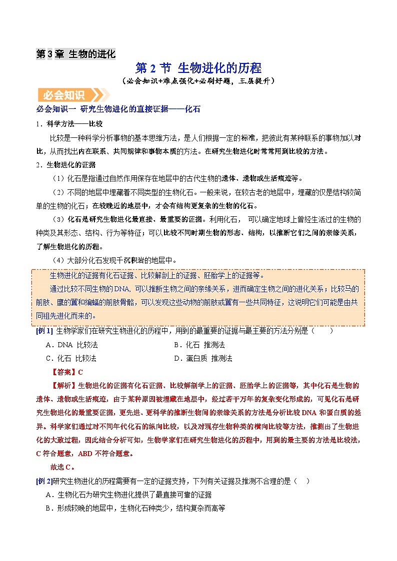 6.3.2 生物进化的历程（提升讲义）生物新教材人教版八年级下册（解析版）第1页