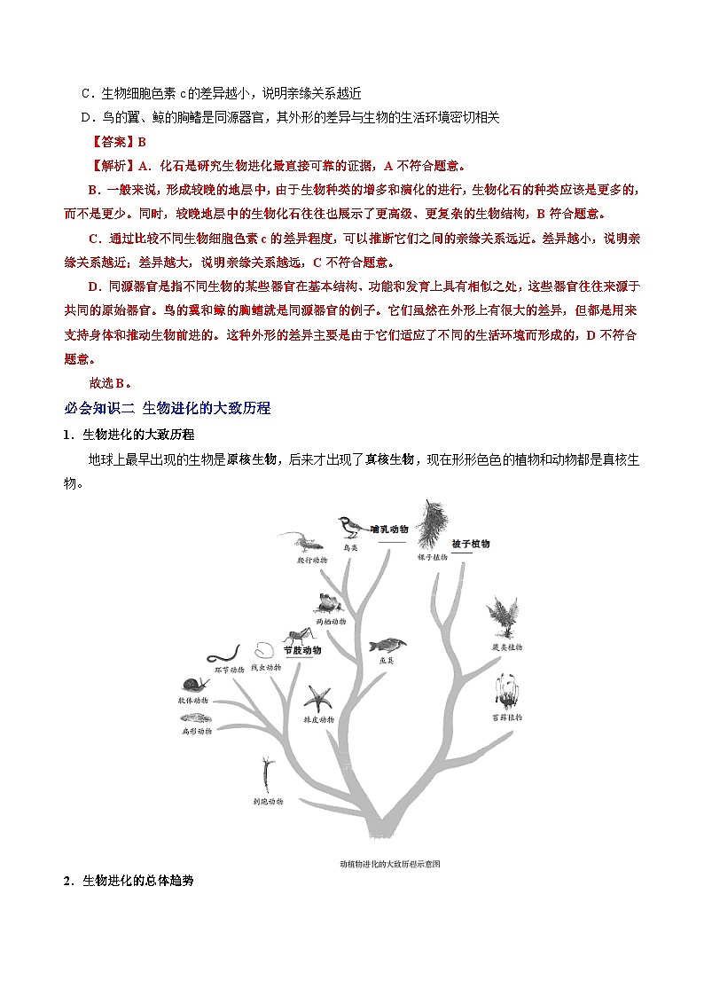6.3.2 生物进化的历程（提升讲义）生物新教材人教版八年级下册（解析版）第2页