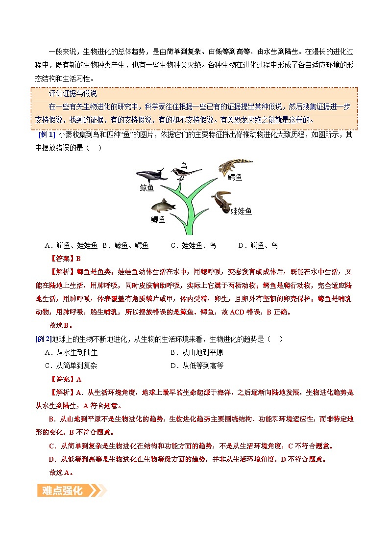 6.3.2 生物进化的历程（提升讲义）生物新教材人教版八年级下册（解析版）第3页