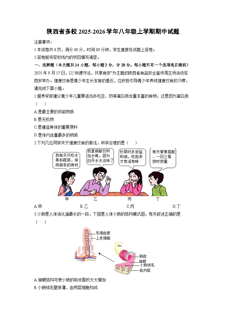 陕西省多校2025-2026学年八年级上学期期中生物试卷（学生版）第1页