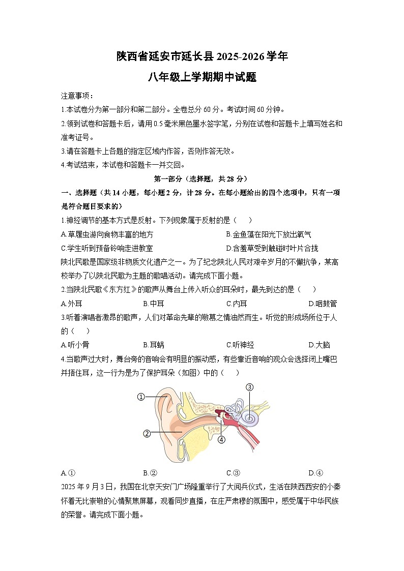 陕西省延安市延长县2025-2026学年八年级上学期期中生物试卷（学生版）第1页