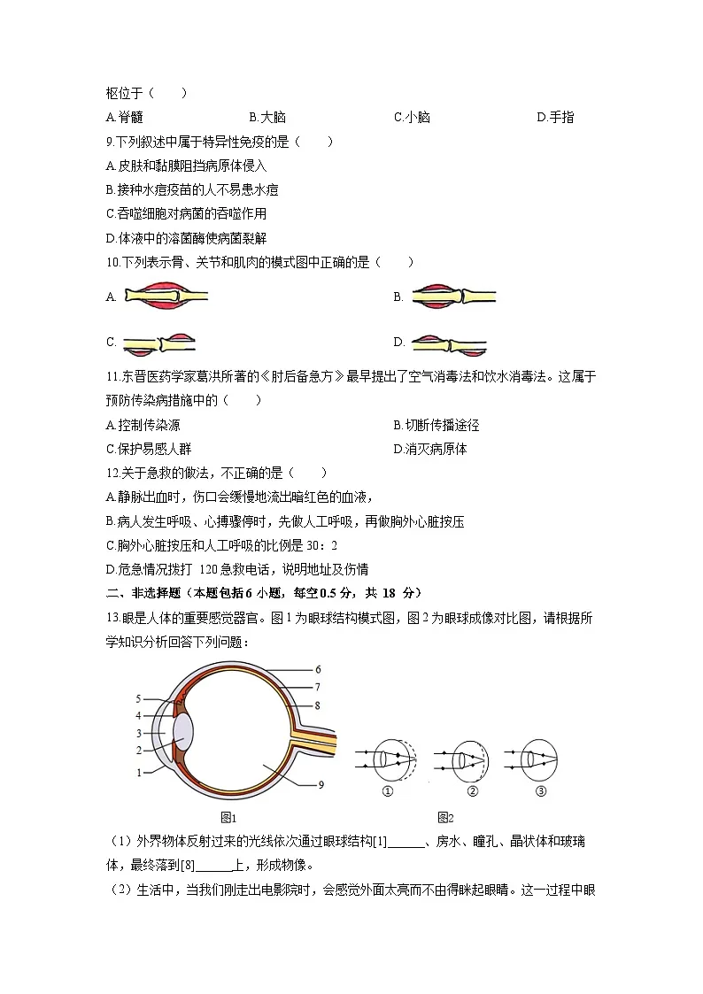 辽宁省大连市中山区2025-2026学年八年级上学期期中生物试卷（学生版）第2页