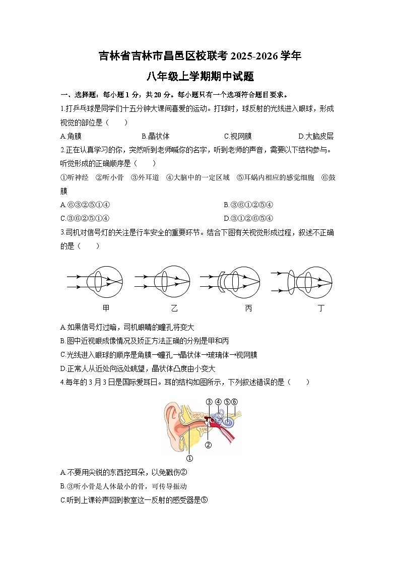 吉林省吉林市昌邑区校联考2025-2026学年八年级上学期期中生物试卷（学生版）第1页