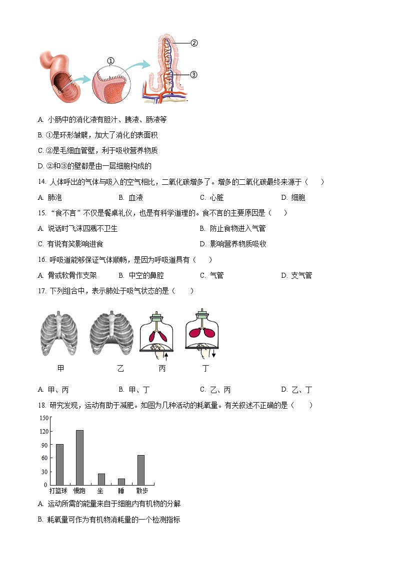 福建省三明市三元区七年级下学期期中生物试题（原卷版）-A4第3页