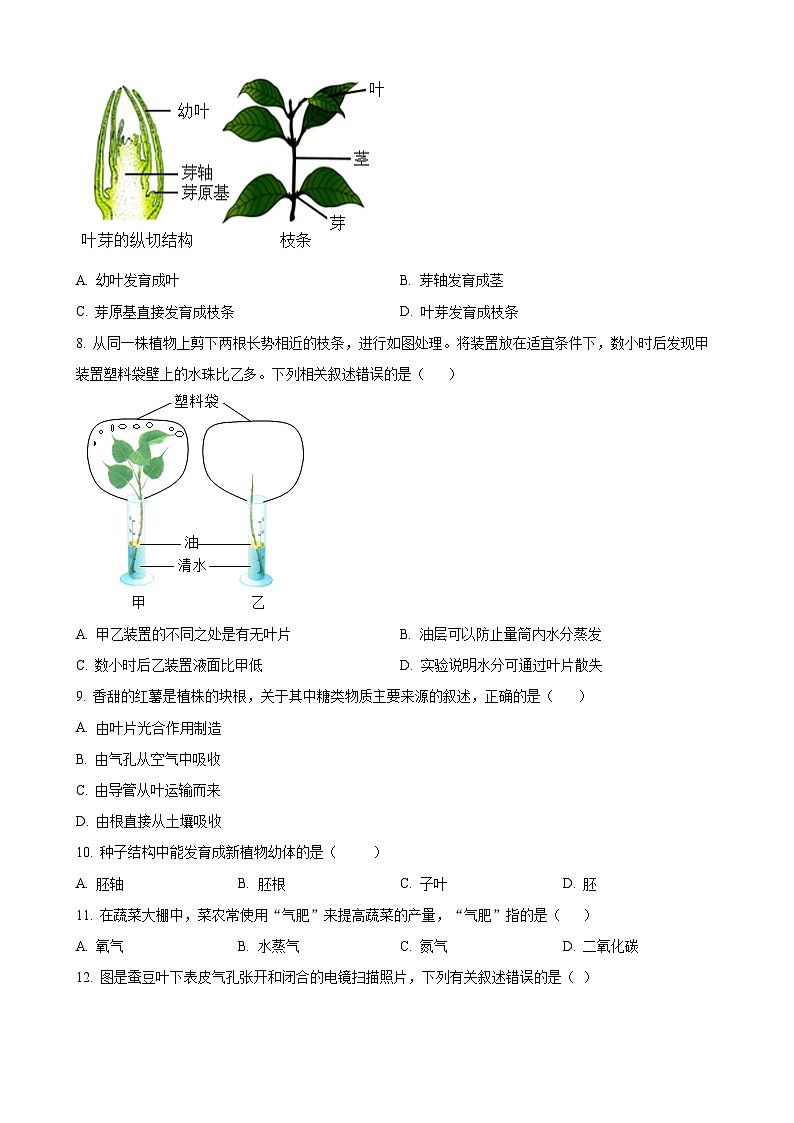 福建省三明市宁化县七年级下学期期中生物试题（原卷版）-A4第2页