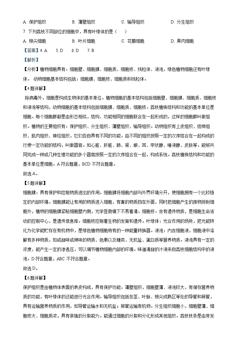 福建省泉州市永春县七年级上学期期末生物试题（解析版）-A4第3页