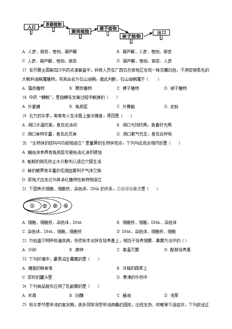 福建省泉州市永春县七年级上学期期末生物试题（原卷版）-A4第3页