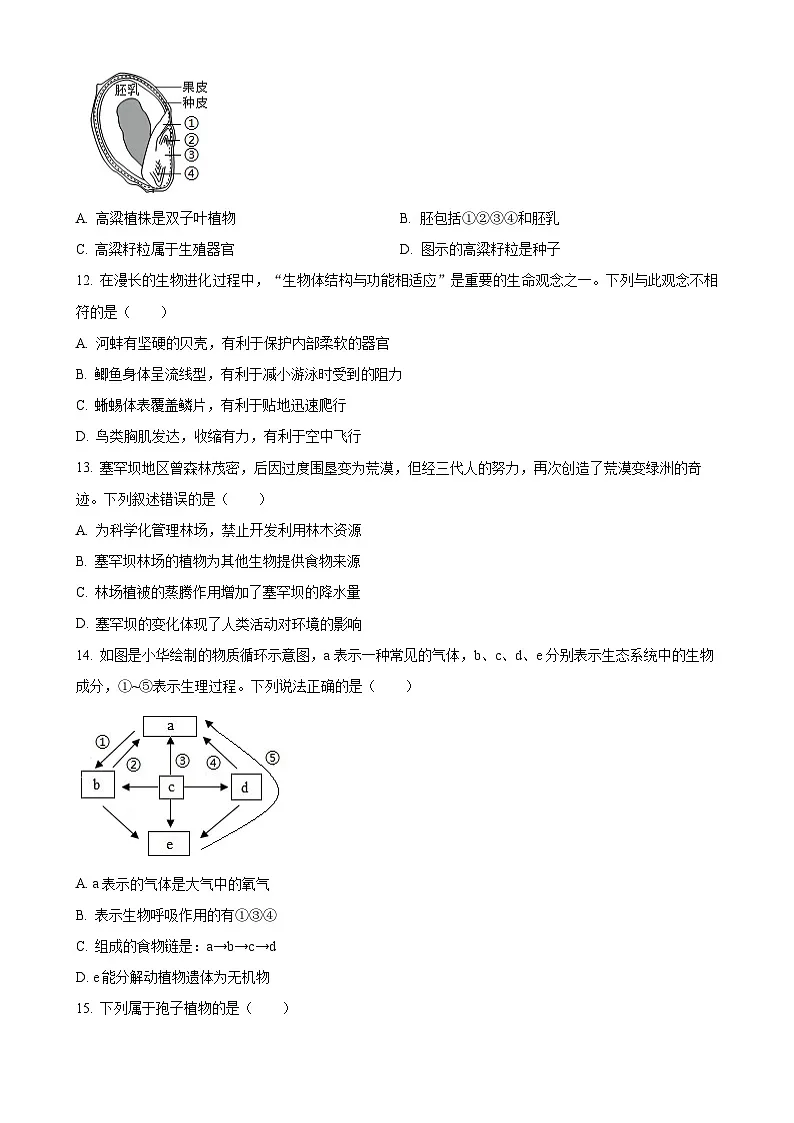 福建省厦门市八年级下学期期中生物试题-A4第3页