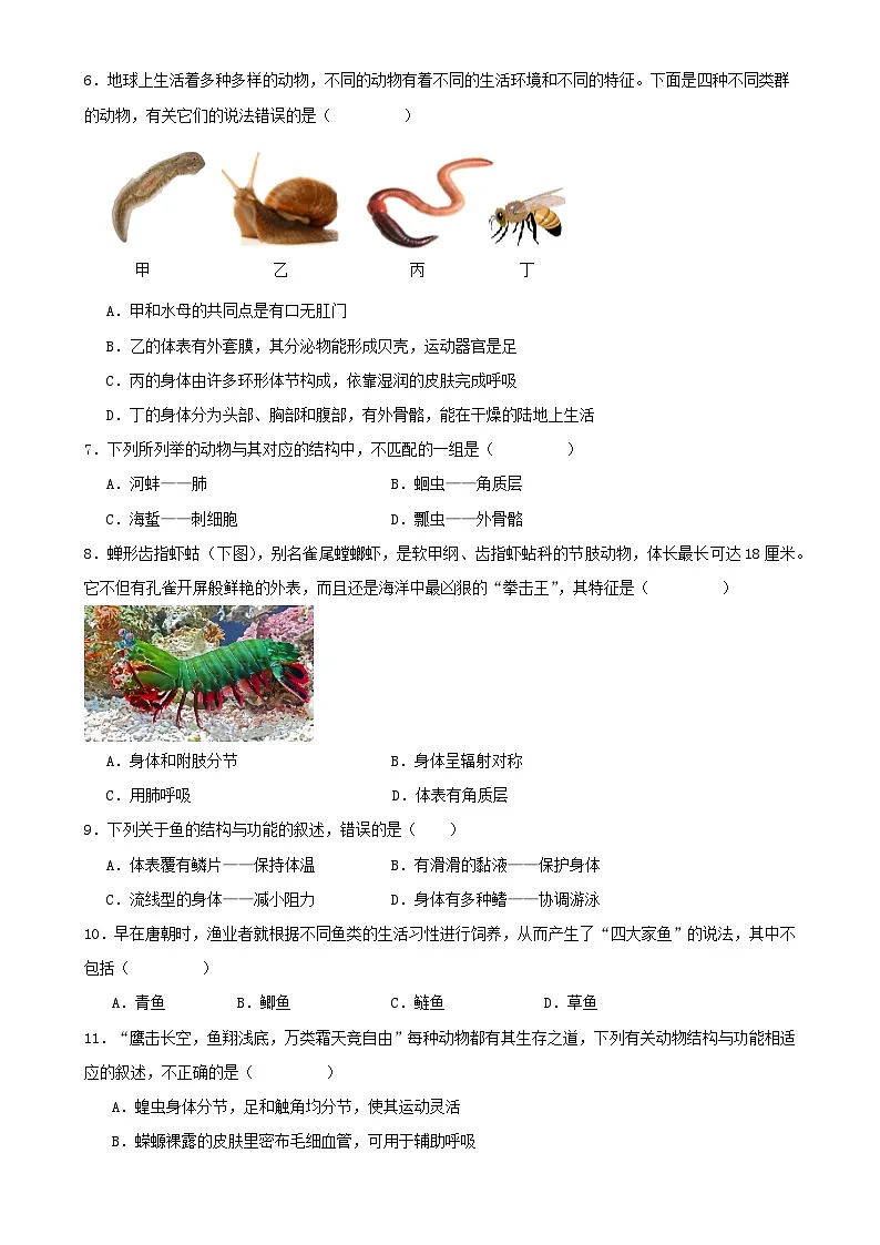 福建省厦门市八年级上学期期末考试生物模拟试题-A4第2页