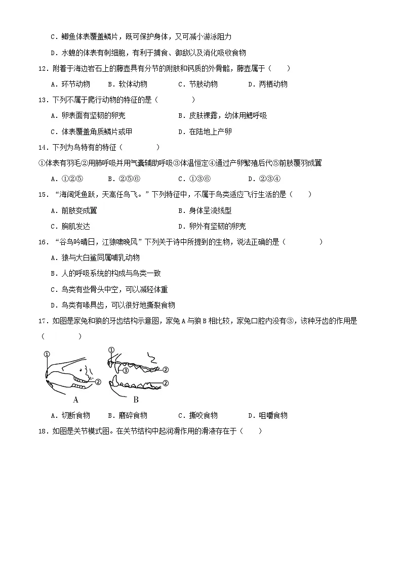 福建省厦门市八年级上学期期末考试生物模拟试题-A4第3页