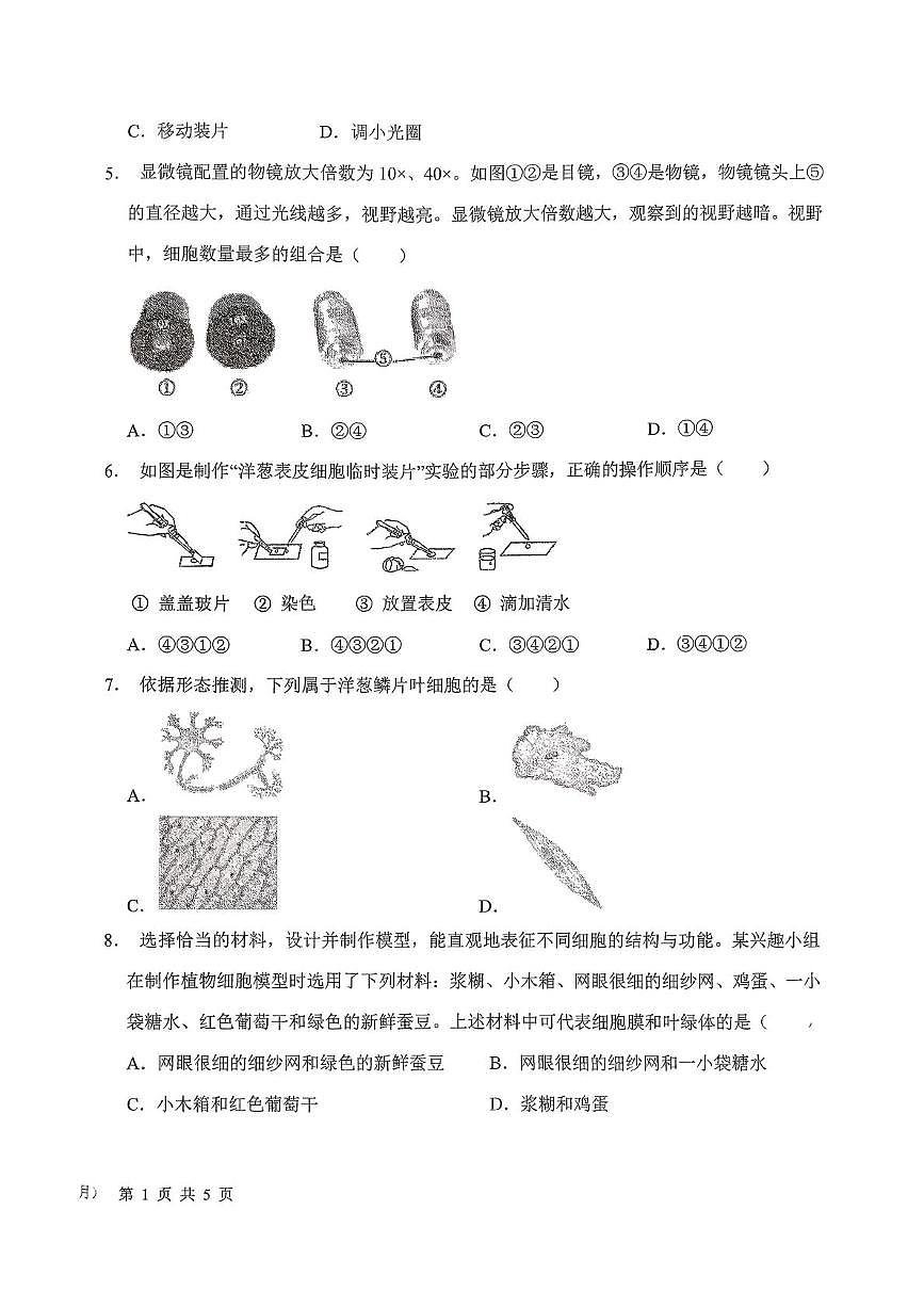 山东省济南市槐荫区恒远学校2025-2026学年七年级上学期12月月考生物试题第2页