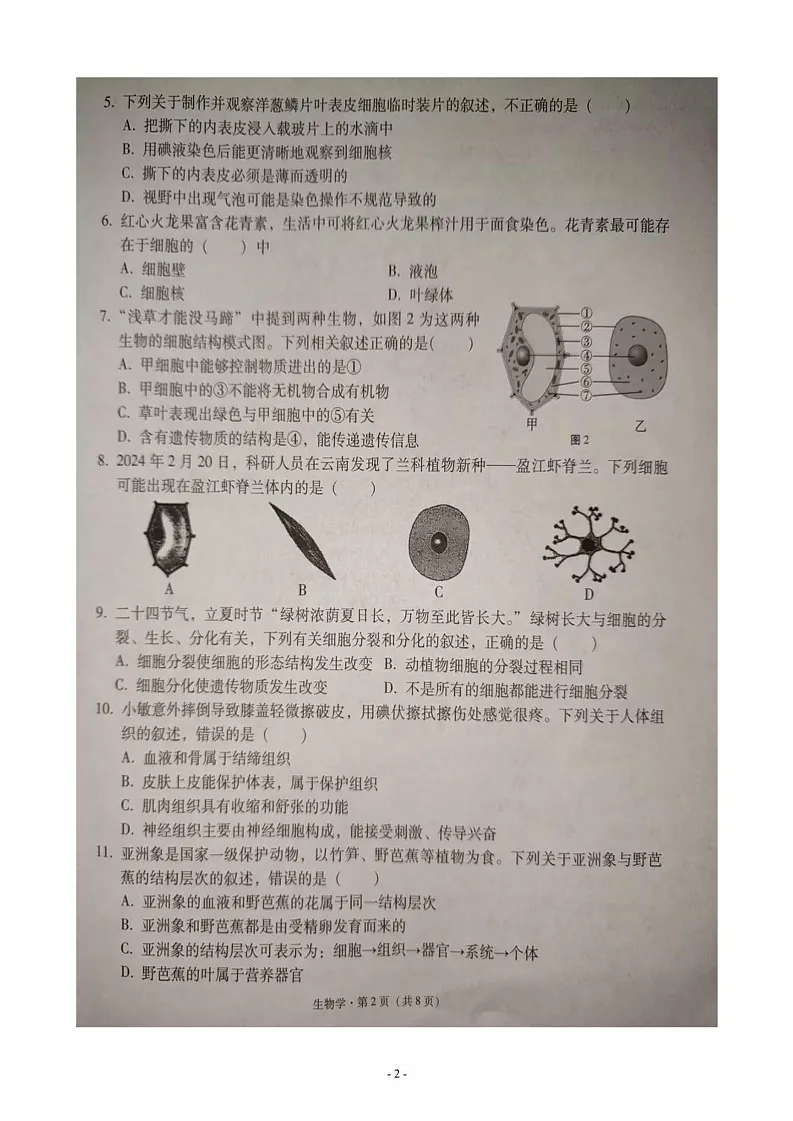 云南省文山壮族苗族自治州文山市2024-2025学年七年级上学期期末生物试题第2页