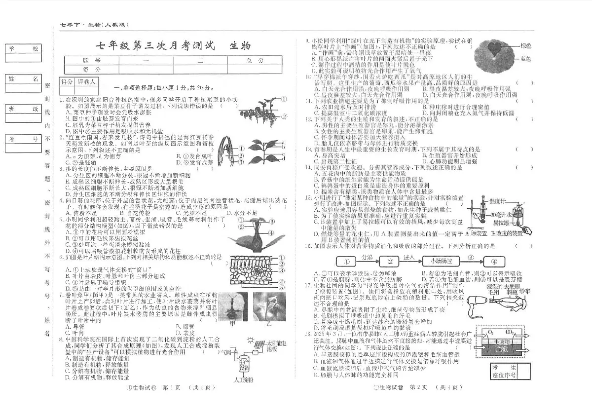 吉林省松原市前郭县南部学区2024~2025学年度下学期七年级第三次月考测试 生物（含答案）第1页