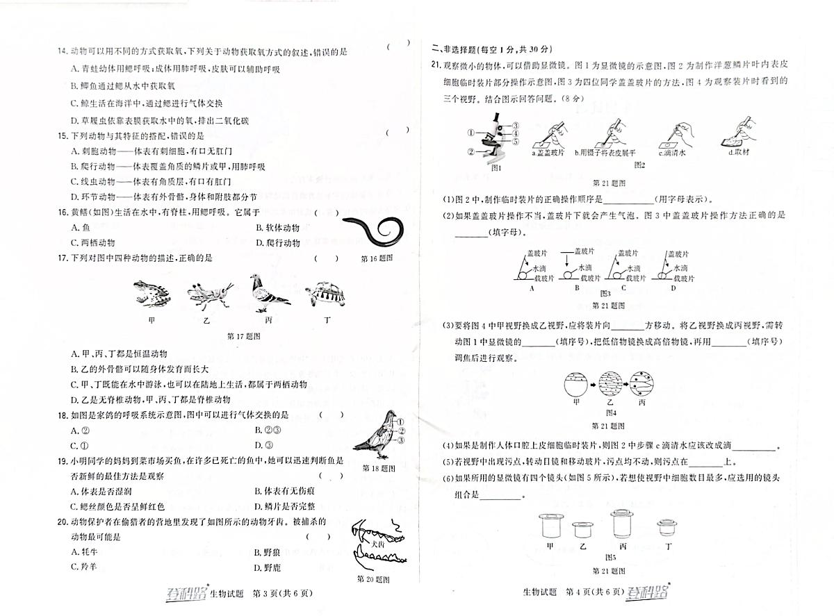 吉林省松原市前郭一中2024~2025学年度上学期初中生阶段性学业水平检测   七年级生物试卷（含答案）第2页