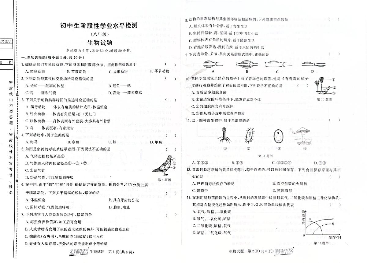 吉林省松原市前郭一中2024~2025学年度上学期初中生阶段性学业水平检测   八年级生物试卷（含答案）第1页