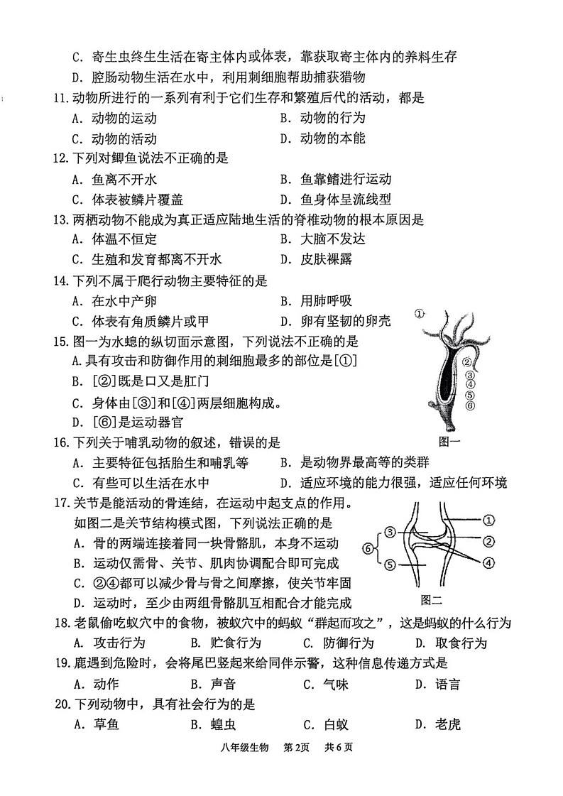 重庆市永川区2024-2025学年八年级上学期期末考试生物试题第2页