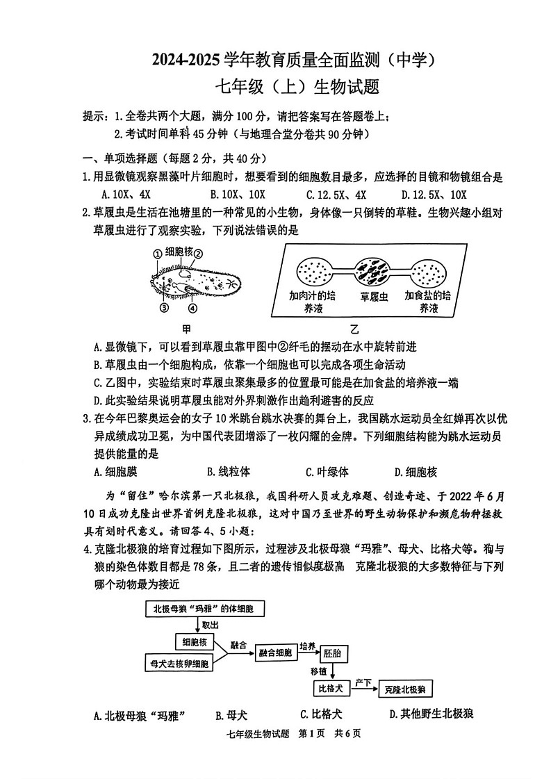 重庆市九龙坡区2024-2025学年七年级上学期期末考试生物试题第1页