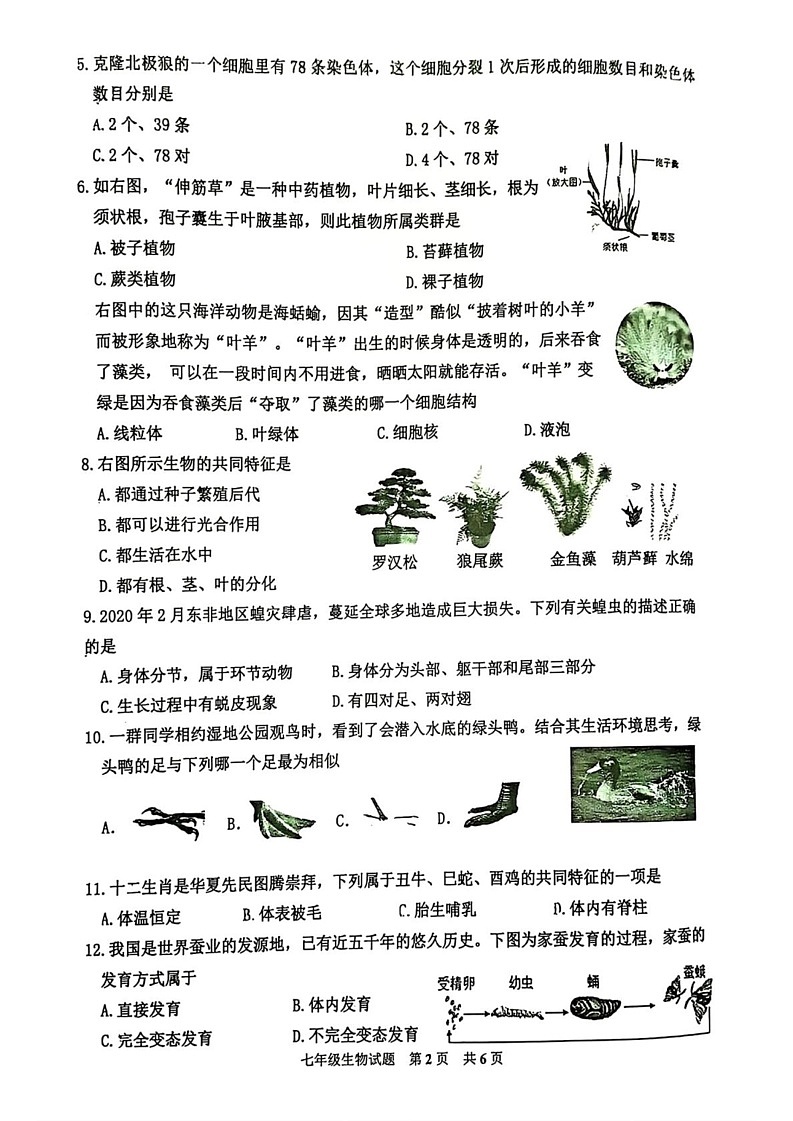 重庆市九龙坡区2024-2025学年七年级上学期期末考试生物试题第2页