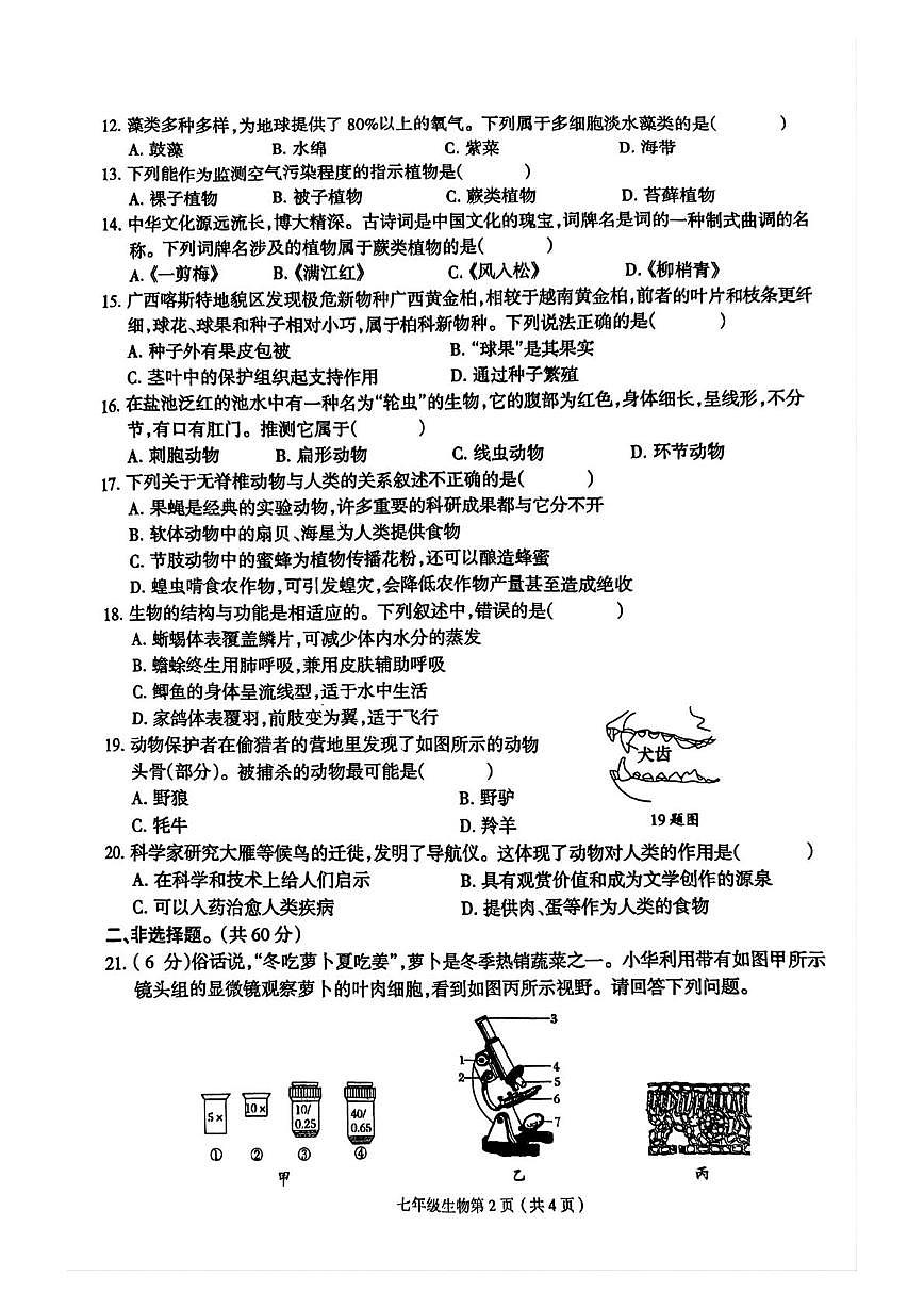 河南省周口市郸城县2025-2026学年七年级上学期12月月考生物试题第2页