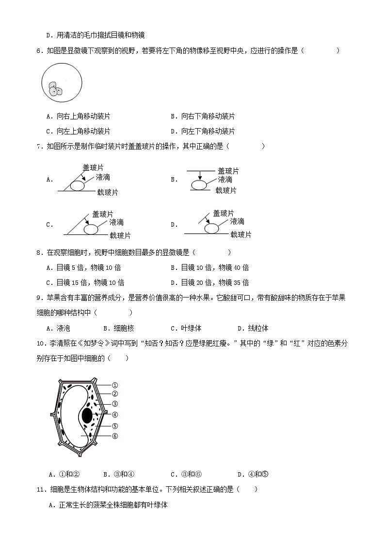 福建省厦门市七年级上学期生物期末考试模拟试题-A4第2页