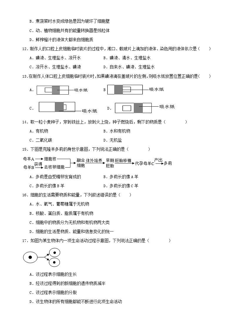 福建省厦门市七年级上学期生物期末考试模拟试题-A4第3页