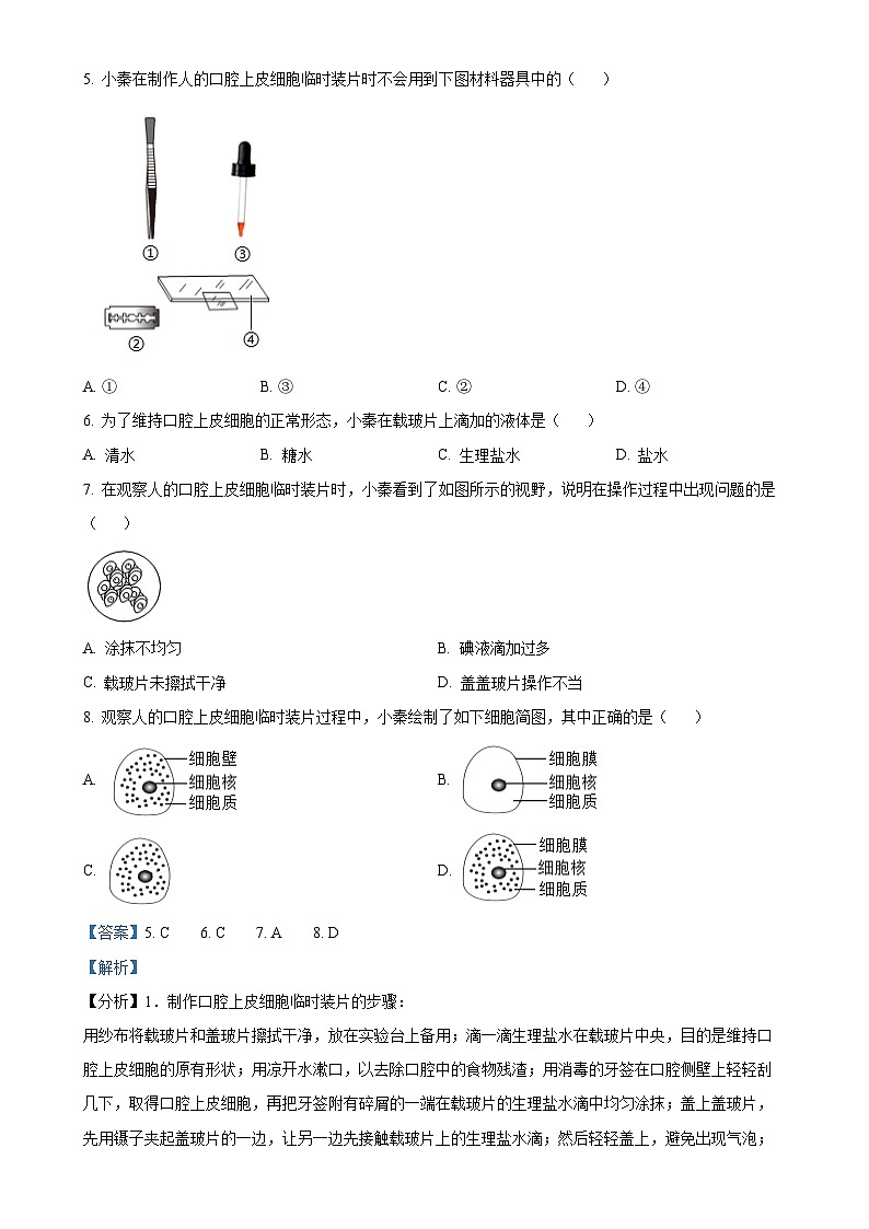 福建省漳州市第三中学七年级上学期期中生物试题（解析版）-A4第3页