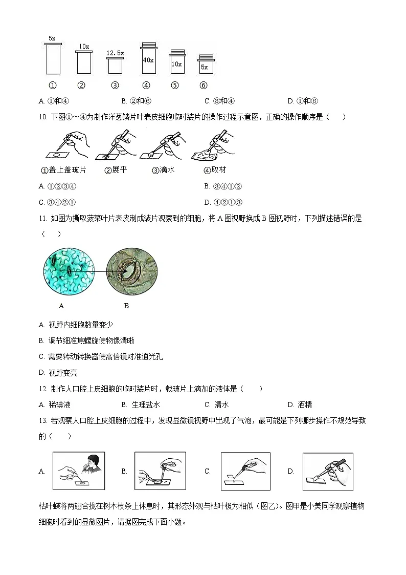 福建省漳州市华安县七年级上学期期中生物学试题（原卷版）-A4第2页