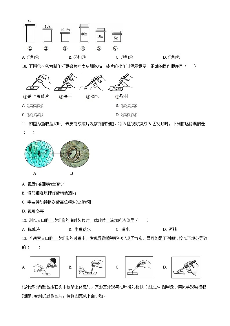 福建省漳州市华安县七年级上学期期中生物学试题（原卷版）-A4第2页
