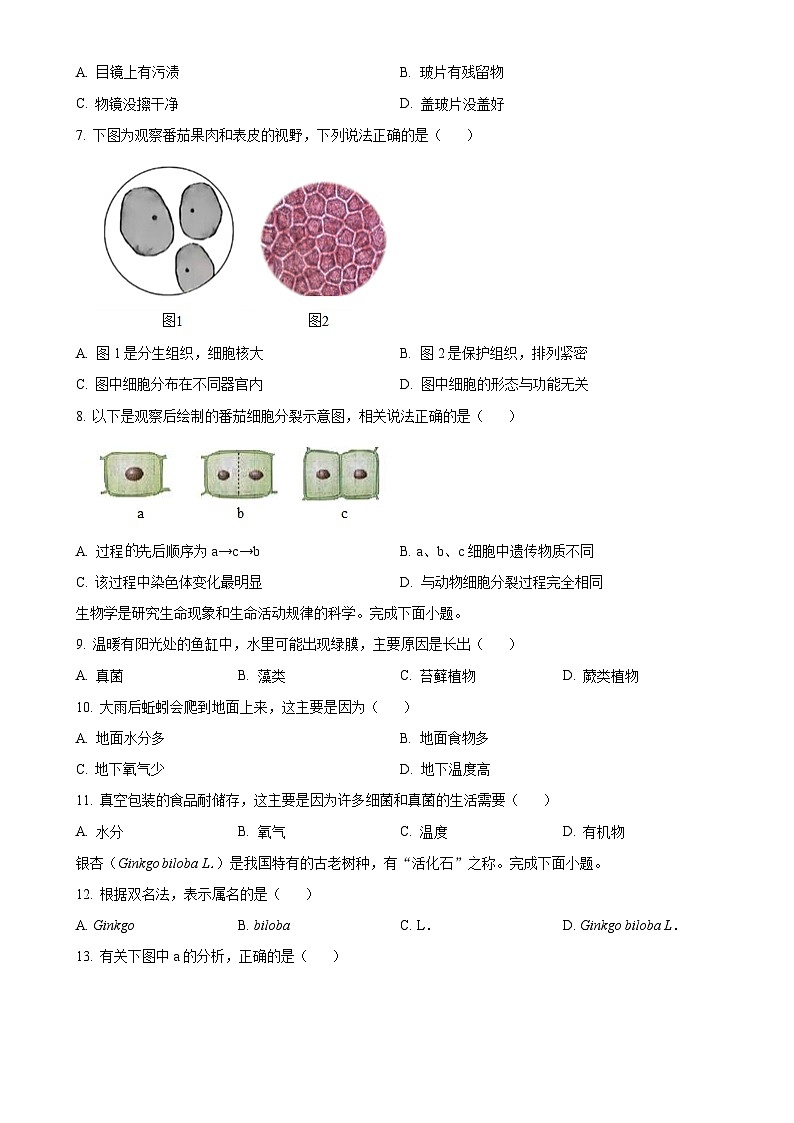 福建省漳州市七年级上学期期末生物试题（A）（原卷版）-A4第2页