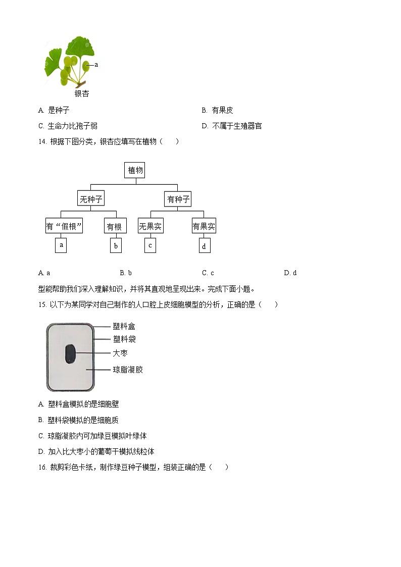 福建省漳州市七年级上学期期末生物试题（A）（原卷版）-A4第3页