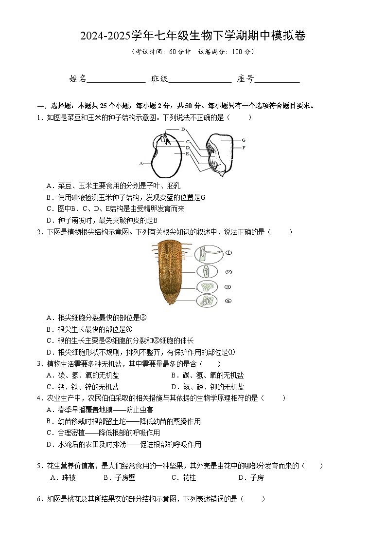 福建省漳州市云霄一中分校集团校七年级下学期期中考试生物试题-A4第1页