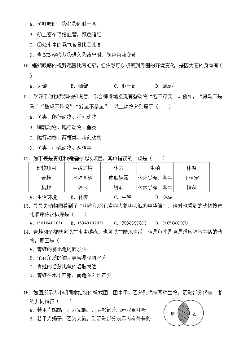 福建省漳州市诏安片区八年级上学期期中考试生物试题-A4第2页