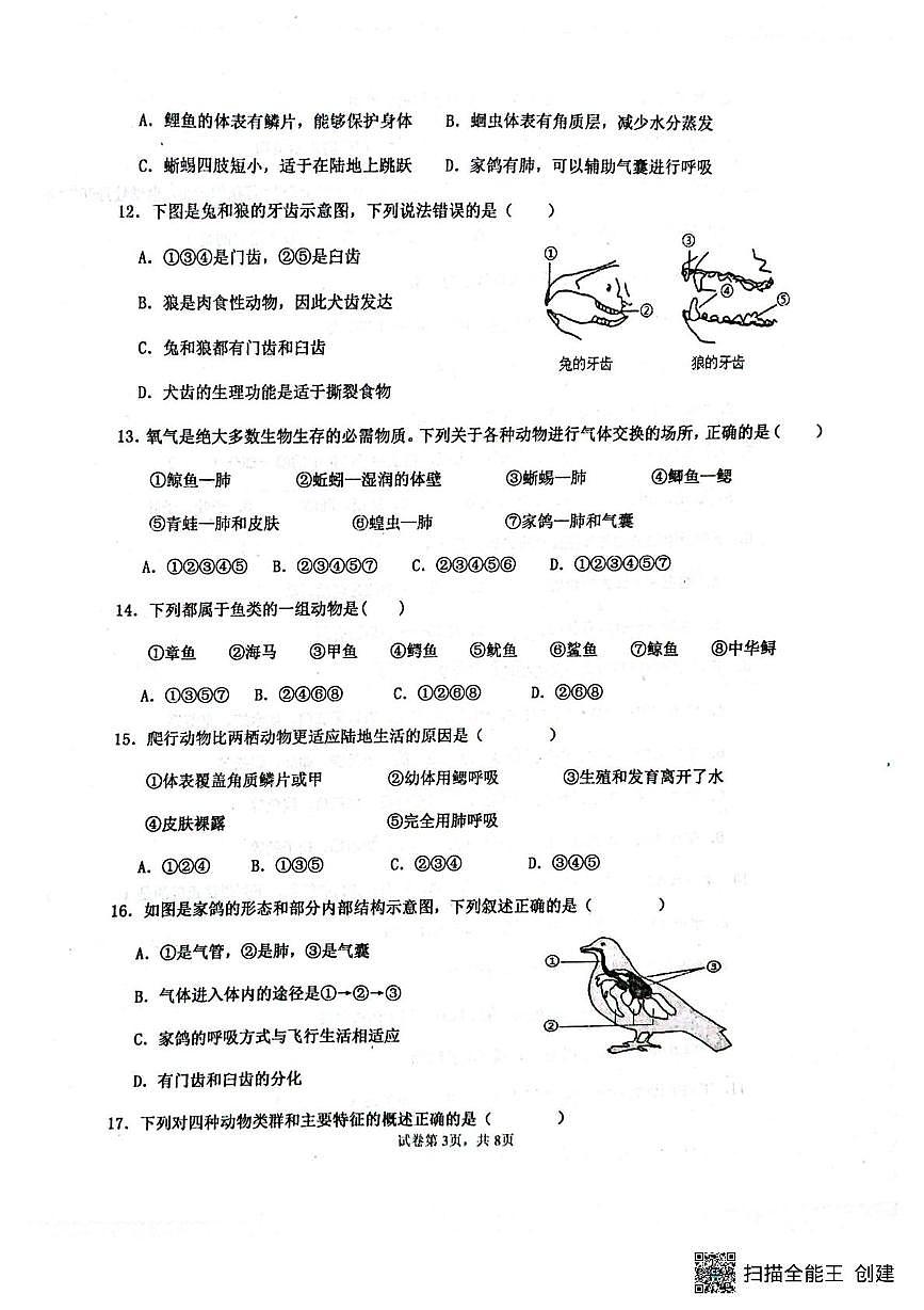 山东省聊城市阳谷县实验中学2025-2026学年七年级上学期12月月考生物试题第3页