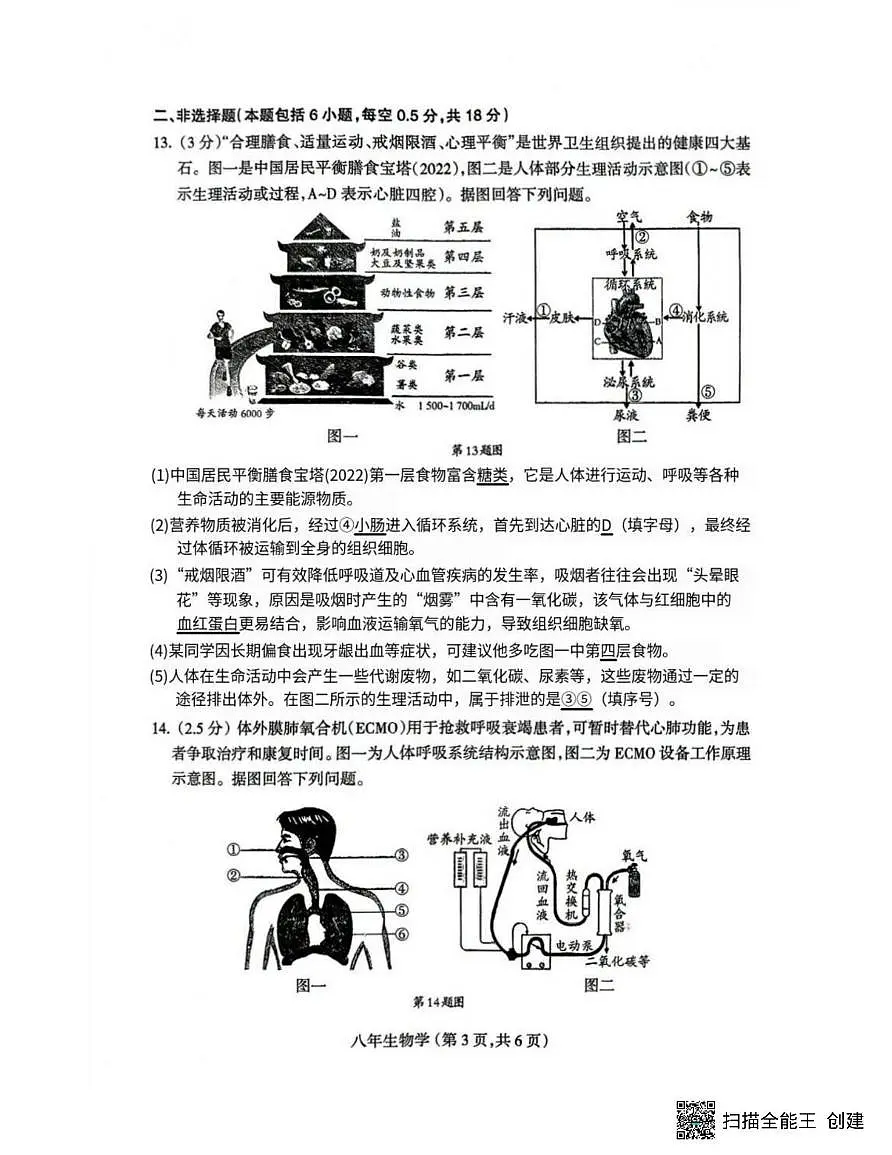 辽宁省沈阳市和平区2025-2026学年八年级上学期期末考试生物试题第3页