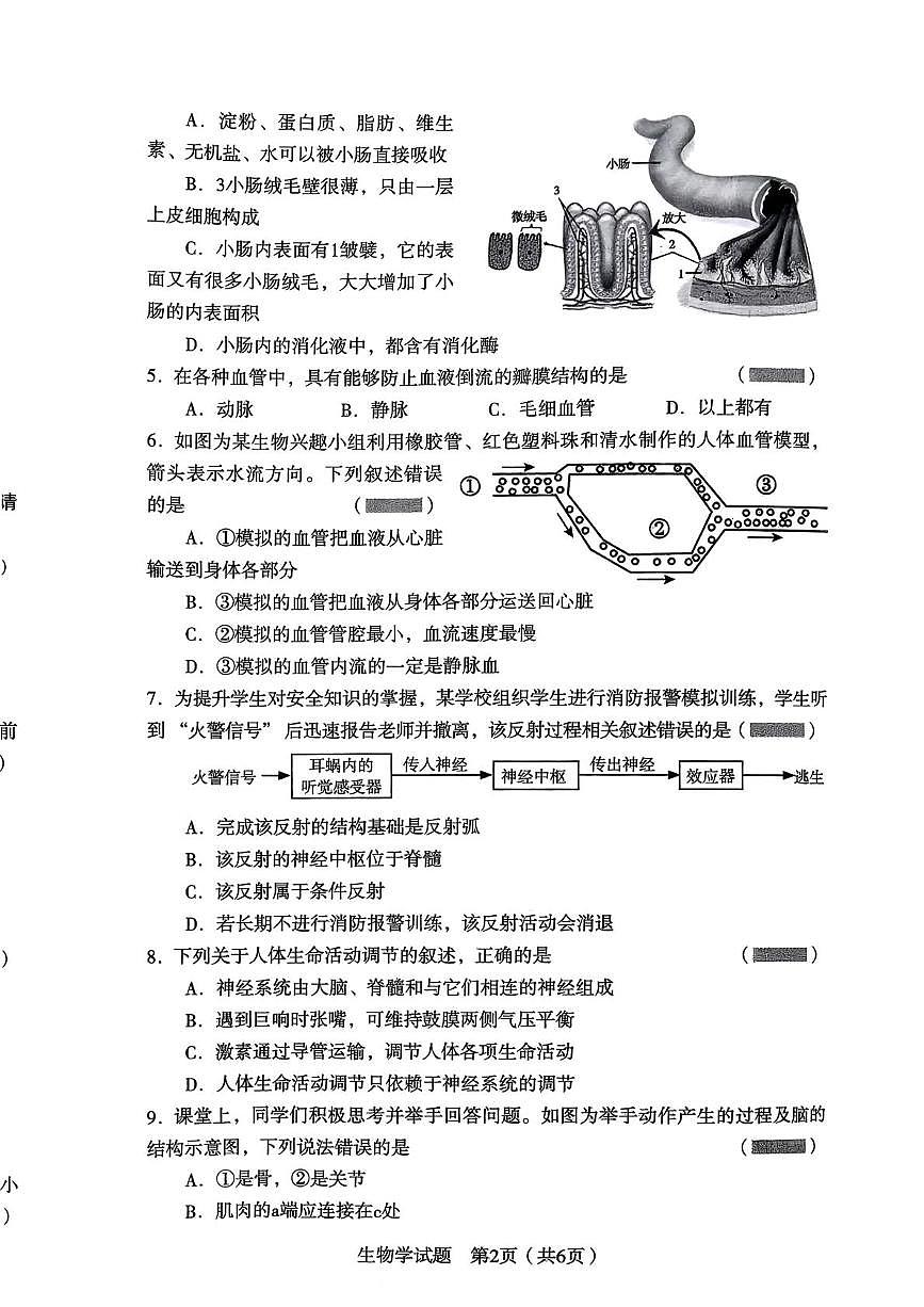 辽宁省沈阳市沈河区2025—2026学年八年级上学期生物期末试卷第2页