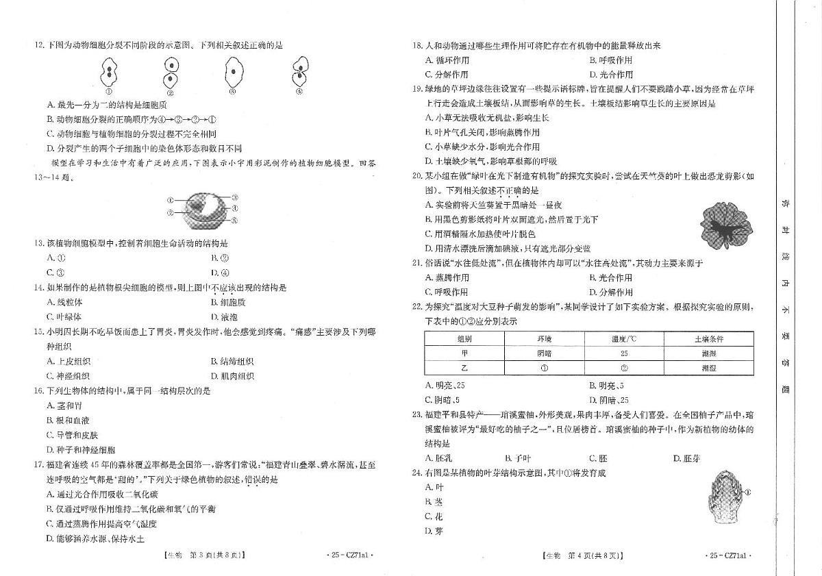 福建泉州洛江区2024年秋七年级上学期期末考试-生物试卷第2页