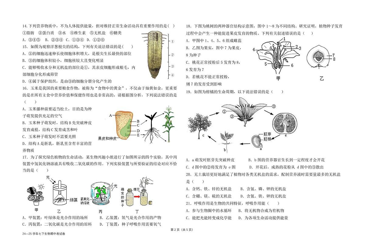 福建省福州市延安中学2024-2025学年七年级下学期期中考试生物试卷第2页