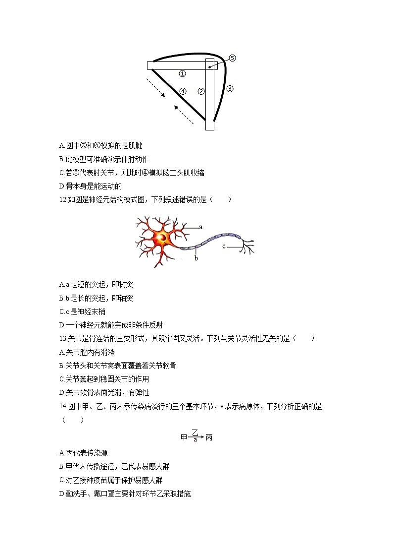 广东省广州市2025-2026学年八年级上学期期中生物试卷（学生版）第3页