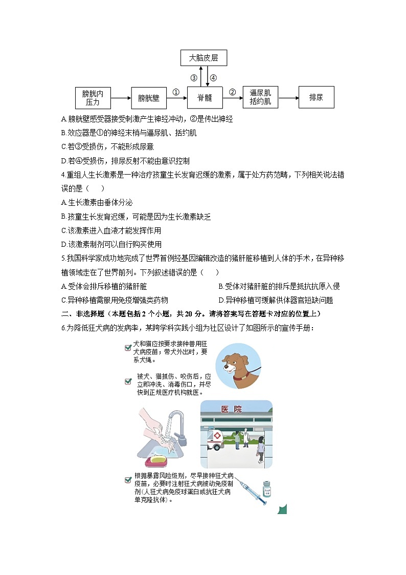 内蒙古包头市昆都仑区2025-2026学年八年级上学期期中生物试卷（学生版）第2页