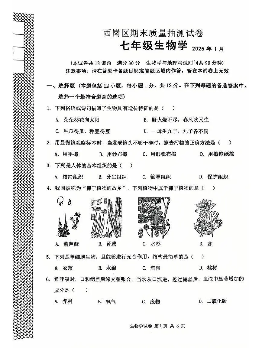 辽宁省大连市西岗区2024-2025学年第一学期七年级生物学期末试卷（含答案）第1页
