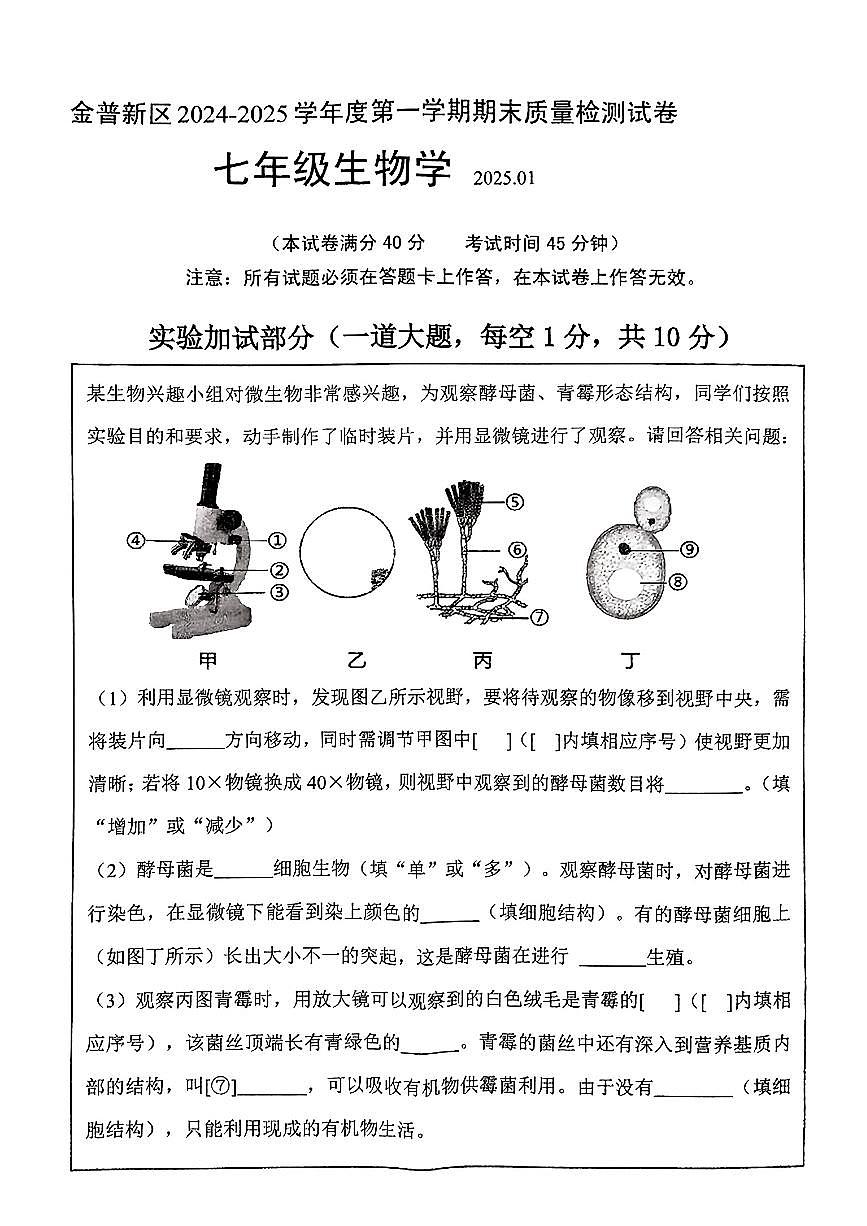 辽宁省大连市金普新区2024-2025学年第一学期七年级生物期末试卷（含答案）第1页