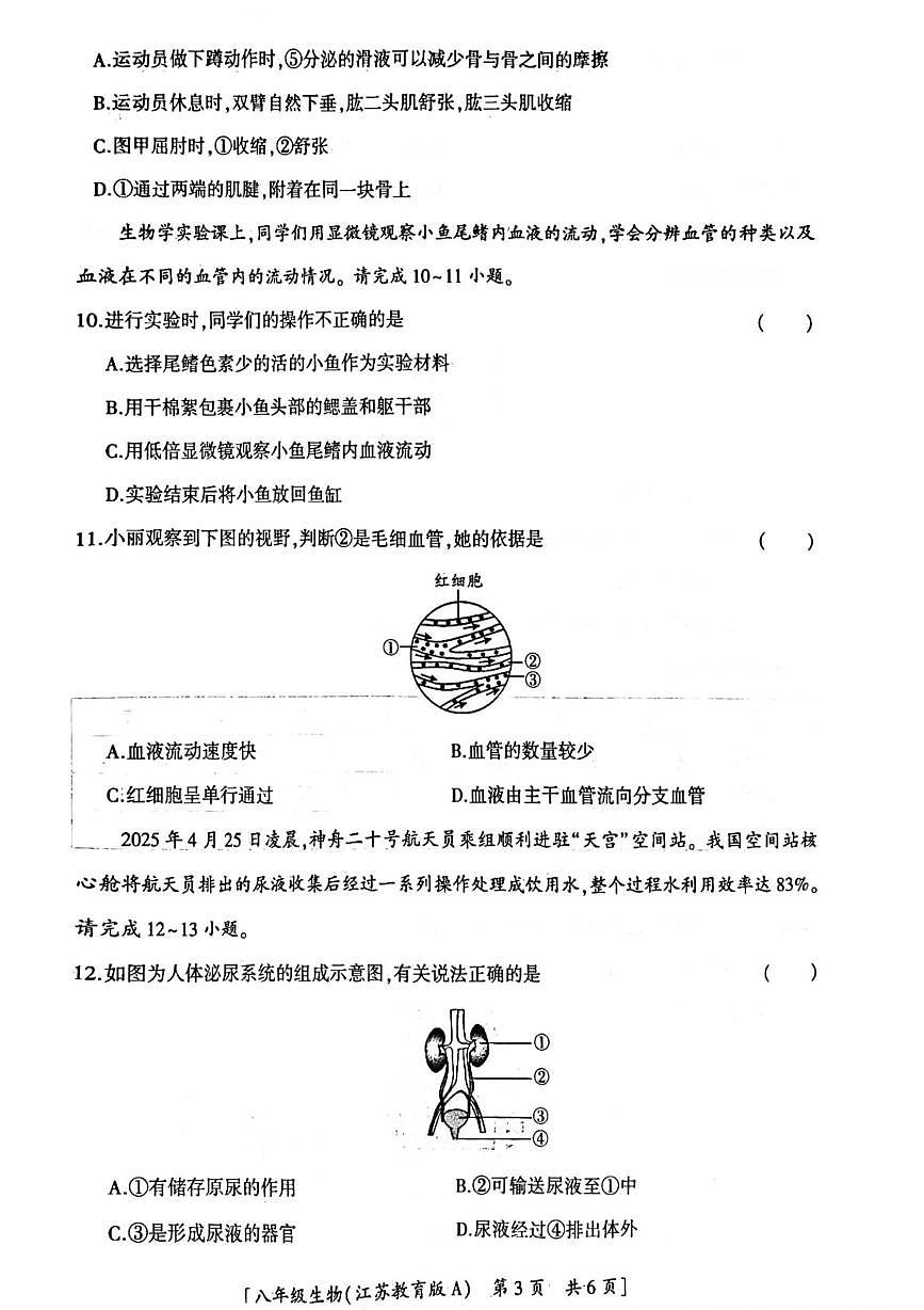 陕西省汉中市西乡县第三中学2025-2026学年八年级上学期第二阶段巩固练习生物试卷（月考）第3页